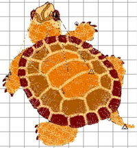 Digitised Turtle artwork